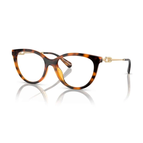 Clip-on Emporio Armani EA4213U-53 50261W