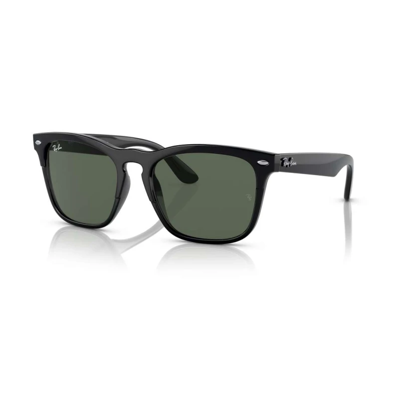 Óculos de Sol Ray Ban Steve RB4487-662971