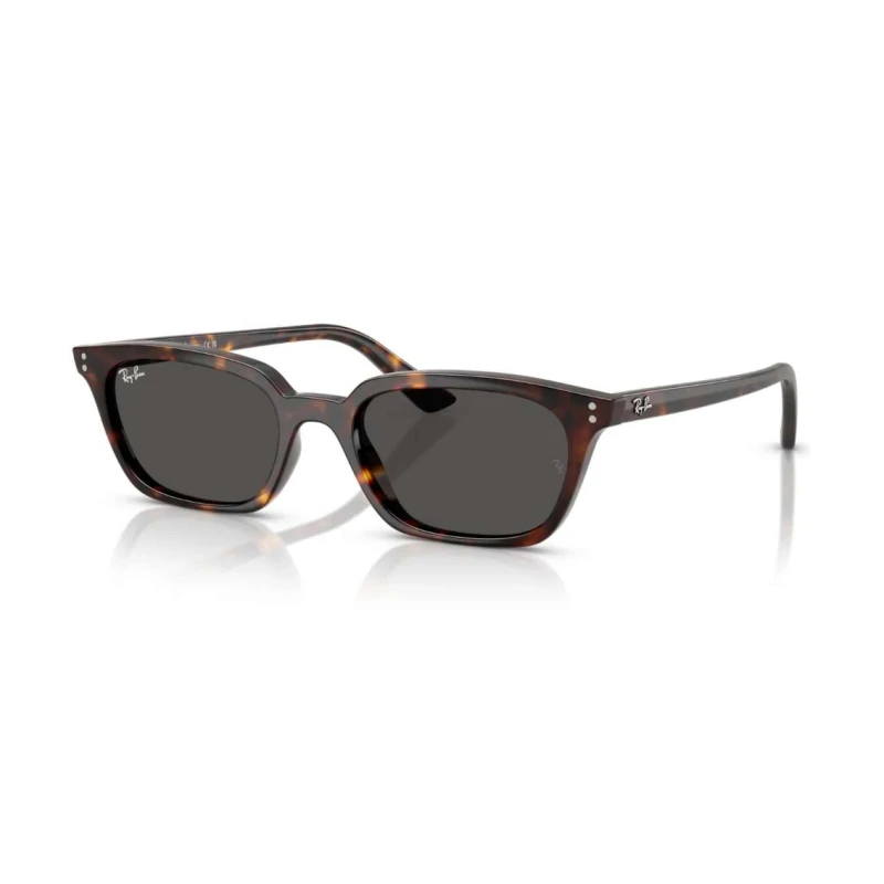 Óculos de Sol Ray Ban Zaya RB4456-1359/87