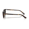 Óculos de Sol Ray Ban Zaya RB4456-1359/87